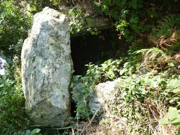 Borne de Recharge 22 Installateur borne de recharge Plénée-Jugon