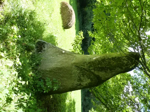 Borne de Recharge 22 Installateur borne de recharge Plouvara